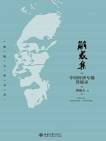 解惑集：中国经济专题答疑录