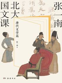 张一南北大国文课（唐代文学篇）