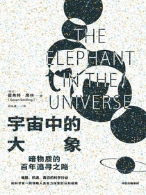 宇宙中的大象