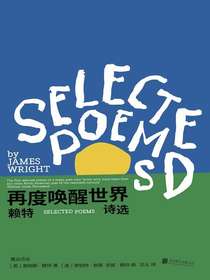 再度唤醒世界：赖特诗选