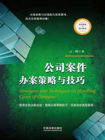 公司案件办案策略与技巧