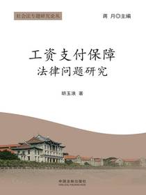 工资支付保障法律问题研究