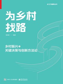 为乡村找路：乡村振兴之关键决策与创新方法论