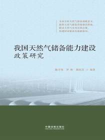我国天然气储备能力建设政策研究