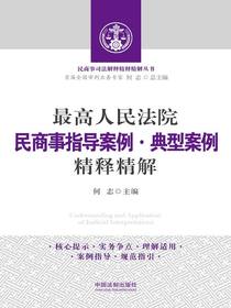最高人民法院民商事指导案例：典型案例精释精解