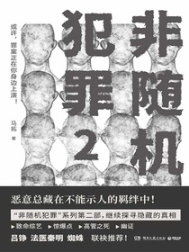非随机犯罪2