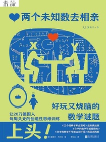 两个未知数去相亲：好玩又烧脑的数学谜题