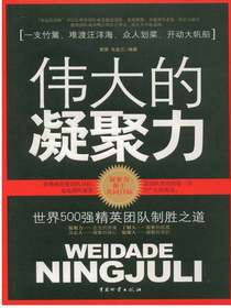 伟大的凝聚力：世界500强精英团队制胜之道