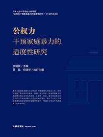 公权力干预家庭暴力的适度性研究