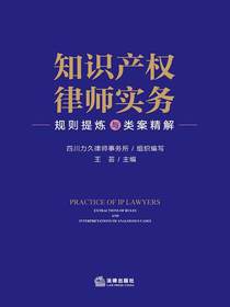知识产权律师实务：规则提炼与类案精解