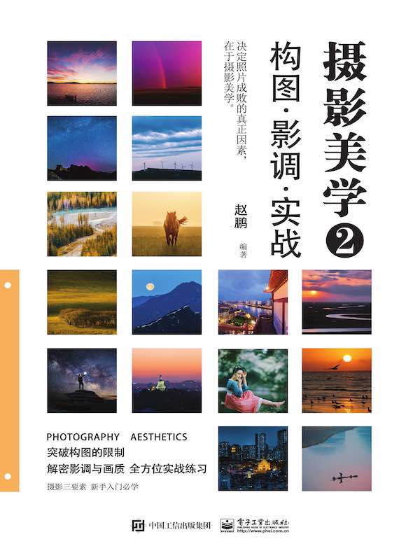摄影美学 2：构图·影调·实战（全彩）