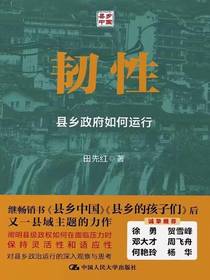 韧性：县乡政府如何运行