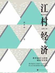 江村经济