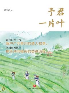 封面