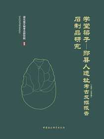 学堂梁子—郧县人遗址（1989～1995年）考古发掘报告：石制品研究