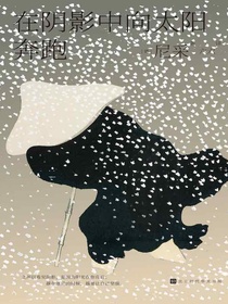 在阴影中向太阳奔跑