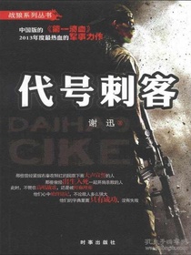 代号刺客