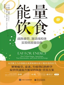 能量饮食