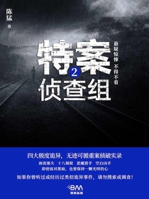 特案侦查组2