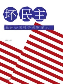 坏民主：薛涌美国社会观察笔记