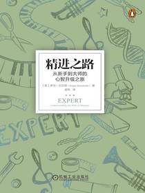 精进之路：从新手到大师的心智升级之旅