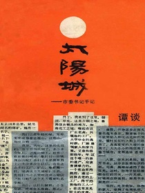 太阳城：市委书记手记