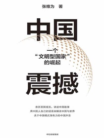 中国震撼：一个“文明型国家”的崛起