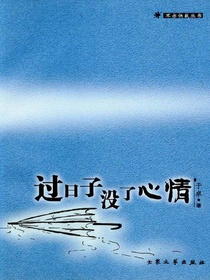 过日子没了心情