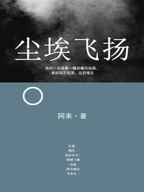 尘埃飞扬