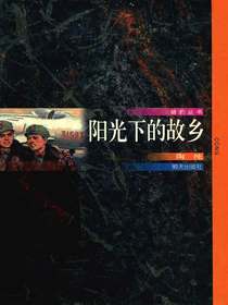 阳光下的故乡