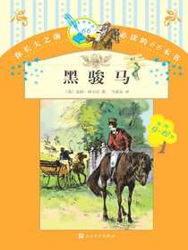 黑骏马