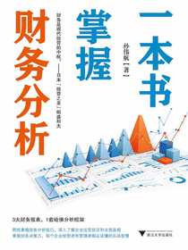 一本书掌握财务分析