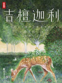 吉檀迦利