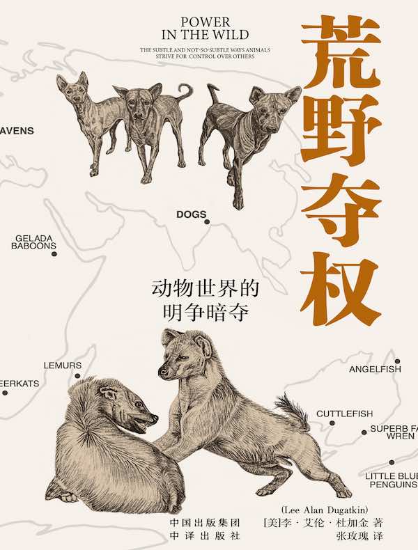 荒野夺权：动物世界的明争暗夺