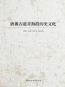 唐蕃古道青海段历史文化