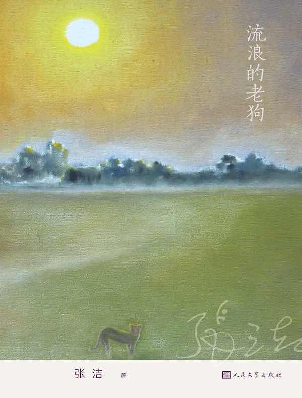 流浪的老狗