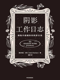阴影工作日志