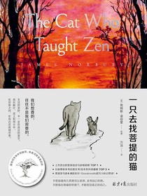 一只去找菩提的猫