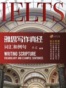 雅思写作真经词汇和例句