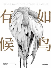 有如候鸟