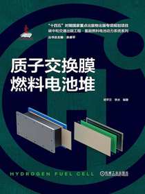 质子交换膜燃料电池堆