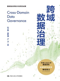 跨域数据治理