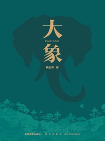 大象
