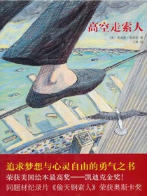 高空走索人（2014版）