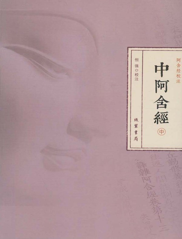 中阿含经（中册）