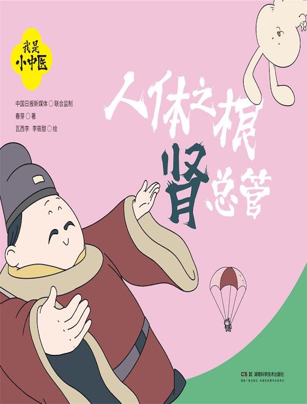 我是小中医：人体之根肾总管