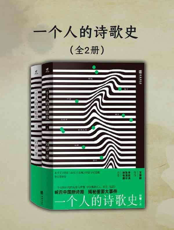 一个人的诗歌史（全二册）