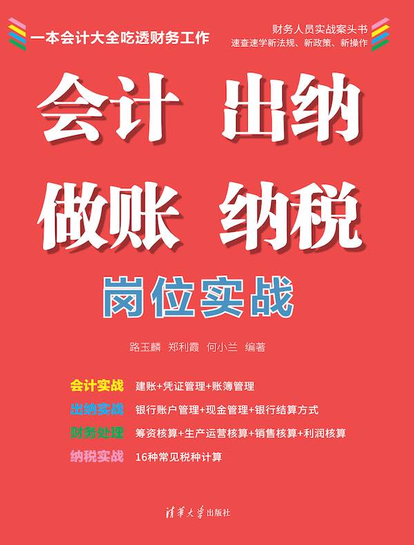 会计 出纳 做账 纳税岗位实战