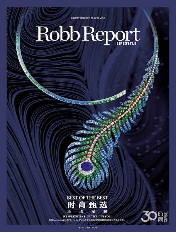 时尚甄选 Robb Report 中文版（2023年第11期）