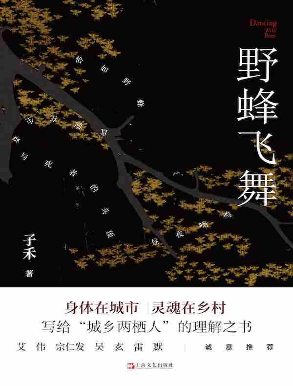 野蜂飞舞